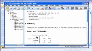 Cronbachs Alpha  SPSS part 1 [upl. by Milan]