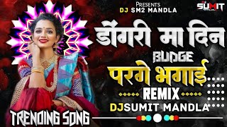 Dongri Ma Din Budge Parge Bhagai Dj Mandla Mix Song 2024 Djsumit Mandla Cg Mandla Mix Song 2024 [upl. by Kaiser54]