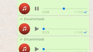 Que diabo de música é essa ai  Áudios engraçados do Whatsapp [upl. by Briano]