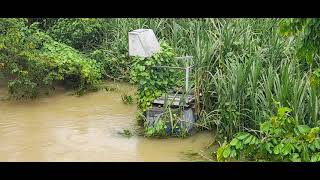 Cabarita River in Westmoreland Flooding Jamaica 🇯🇲 WOW [upl. by Annavoeg]