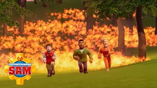 das bisher größte Feuer 🔥  Feuerwehrmann Sam 1stündige Zusammenstellung  Kinderfilm [upl. by Treblig371]