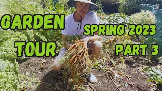 Spring Garden Tour 2023  Part 3 Perth Western Australia [upl. by Hescock]