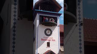 Frankenmuth Bavarian Inn show frankenmuth bavaria vacation torism torist viral fun summer [upl. by Stovall957]