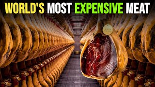 Words Most Expensive Meat Iberian Ham Meat ProductionINFIO [upl. by Anertal]