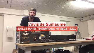 Lavis de Guillaume  Taillehaie thermique MC CULLOCH Bricorama [upl. by Nort]