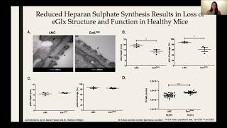 OC3 Endothelial Glycocalyx Heparan Sulphate plays role in glomerular filtration barrier function [upl. by Hairom]