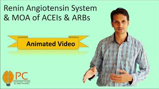 Renin Angiotensin System  Mechanism of ACEIs and ARBs [upl. by Ram]