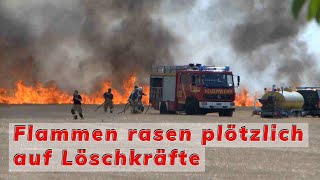 Gefährlicher Flächenbrand für Einsatzkräfte Zwei Hektar großes Feld gerät in Brand [upl. by Niroc]