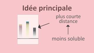 Chromatographie sur papier et sur couche mince  FuseSchool  Unisciel [upl. by Nibla]