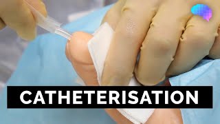 Catheterisation  OSCE Guide  UKMLA  CPSA [upl. by Pedersen]