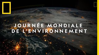 Aujourdhui cest la Journée mondiale de lenvironnement [upl. by Aniara3]