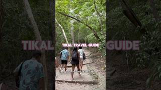 Tikal Travel Guide How to see the park without a tour guide [upl. by Andree]