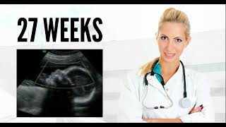 27 WEEKS ULTRASOUND 27 weeks pregnant ultrasound pregnancy ultrasound [upl. by Gaw399]