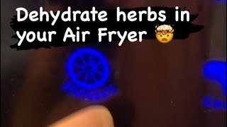 Dehydrating Herbs in an Air Fryer [upl. by Ihsorih]