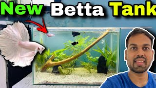 My New Betta Fish Aquarium  How to make Planted Fishtank 🐟 for Fighter Fish [upl. by Aikyn]