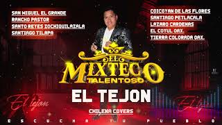 EL TEJON COVERS EL MIXTECO TALENTOSO [upl. by Nakah]