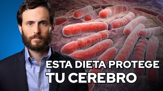 Cómo las bacterias CONTROLAN tu HAMBRE [upl. by Anilac]