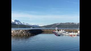 Olderhamna småbåthavn på Finnsnes i Lenvik kommune [upl. by Borchert212]