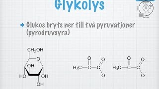 Glykolys gammal [upl. by Millda]