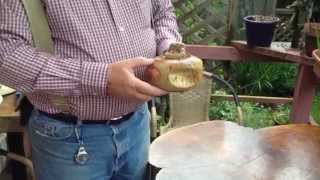 Fossil Art Whale Bone Vertebrae Carving Copper Inlay Bill White Alaska [upl. by Eicnarf61]