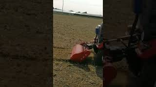 Mini tractor agrícola trabajando preparación de tierra maquinaria y equipo agricultura [upl. by Aniweta]