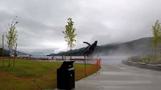 Cruise to Alaska the port of Juneau Explore making your own excursion with many vendors dockside [upl. by Lillis]