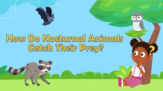 How Do Nocturnal Animals Catch Their Prey  Animal Facts  Learn About Animals  Facts for Kids [upl. by Trometer]