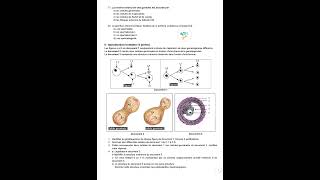 Devoir de contrôle n°1 Bac SVT 20242025 [upl. by Anahsirk]