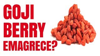 GOJI BERRY EMAGRECE MESMO [upl. by Ellennad]