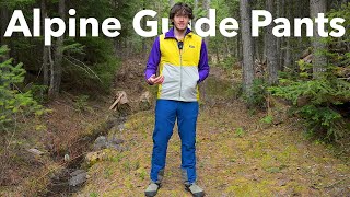 Patagonia Alpine Guide Pants ShortTerm Review [upl. by Trebeh]