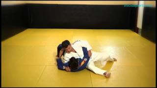 Judo 5 Técnicas de suelo I Inmovilizaciones Osaekomi waza [upl. by Magbie]