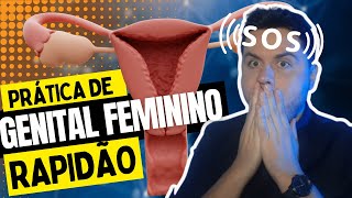 Aula Prática de Sistema Genital Feminino [upl. by Losiram135]