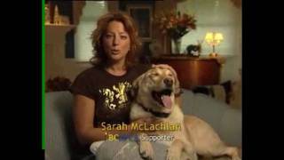 ASPCA Commercial  How much of a difference does the music make [upl. by Nassi]