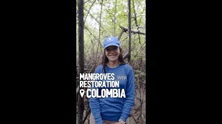 🌿 What do you know about mangroves [upl. by Bores]