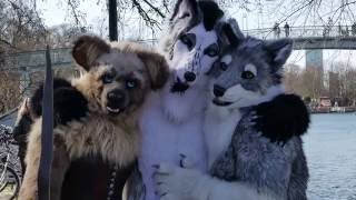 A Walk in Treptower Park Fursuitwalk ahead of Berlin Furdance [upl. by Midis]