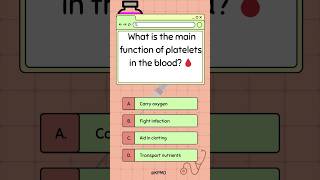 What is the main function of platelets in the blood 🩸 mededtrivia biology science smarttrivia [upl. by Tdnerb959]