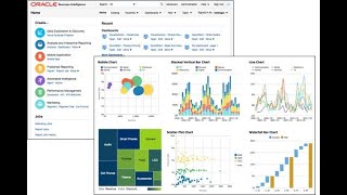 12 OBIEE 12c  Chapter 04 Filtering Data For Analyses Part 3 [upl. by Rolyak180]