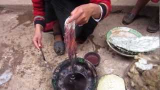 Cochinea Red Dye  The Use of Cochineal Beetles as Natural Fabric Dye in Chinchero Peru [upl. by Aynatan]