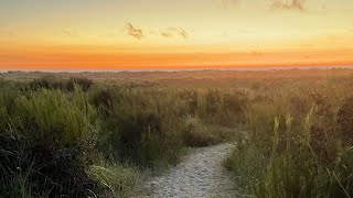 Sensational Sunsets – Grayland Beach State Park￼ [upl. by Ploch]