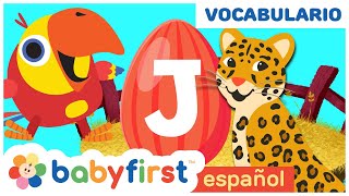 Huevos Surpresas con Animales Salvajes  Sonidos de Animales con Larry el Loro  BabyFirst Español [upl. by Mensch549]