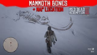 Mammoth Bones  Map Location  Red Dead Redemption II [upl. by Yawnoc]