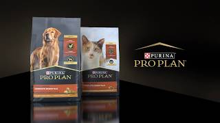 Purina Pro Plans New Dog amp Cat Food Packaging Design [upl. by Garlan806]