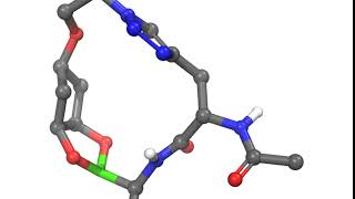 Boronic esterlinked macrocycles as warheads against serine proteases [upl. by Sivlek]