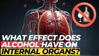 What effect does alcohol have on internal organs [upl. by Windzer]