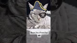 Meow Like a Pirate Day [upl. by Soule]