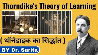 Thorndikes theory of learning  Ctet  Tet [upl. by Anuaik]