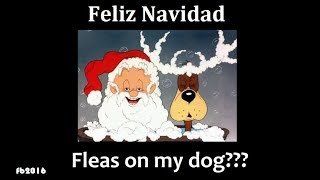 feliz navidad fleas on my dog felix navidad feliz navidad parody [upl. by Roseline]