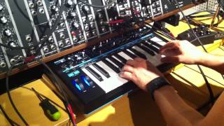 Novation Bass Station II sequences Synthesizerscom Modular synth [upl. by Kiley52]