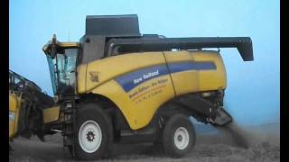 Weizen Dreschen 2011 mit New Holland Cx 880 [upl. by Gratia]