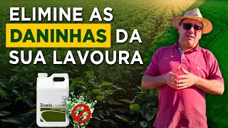 Saiba Como Usar o Dicamba  com Prof Leandro Galon [upl. by Hyde653]